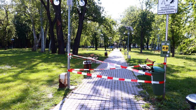 Tristețea parcurilor timișorene pustiite de oameni. Și care arată bine doar de la distanță FOTO-VIDEO