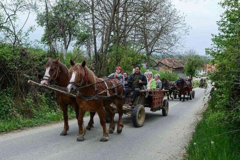 Renaște turismul în Timiș după pandemie? Primele măsuri pentru relansarea domeniului au fost anunțate FOTO