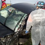 d590980c-8ac5-40e5-8689-779cec708288