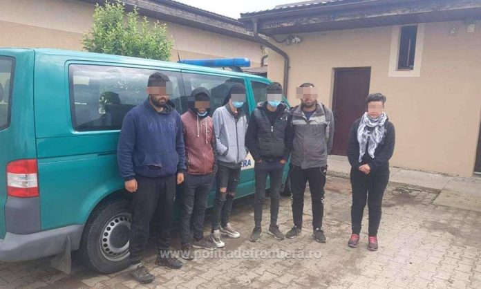 101338368_304861850520924_274216473390481408_n