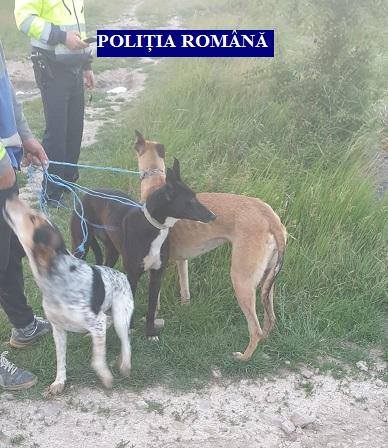 101540610_255046205746410_7503880638655627264_n