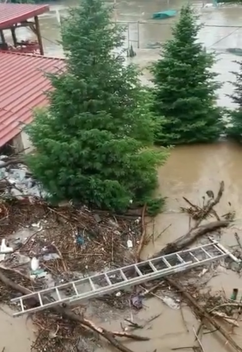 Bilanțul inundațiilor în Timiș, în ultimele 24 de ore