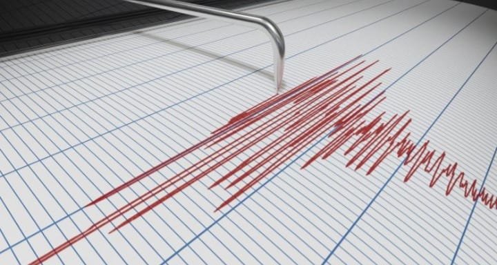 Cutremur puternic în vestul țării!