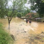 12d7ebab-d82c-4de4-b277-09e416a6ef1e