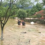 969436dc-a89a-413f-a0aa-0c5233ca8927