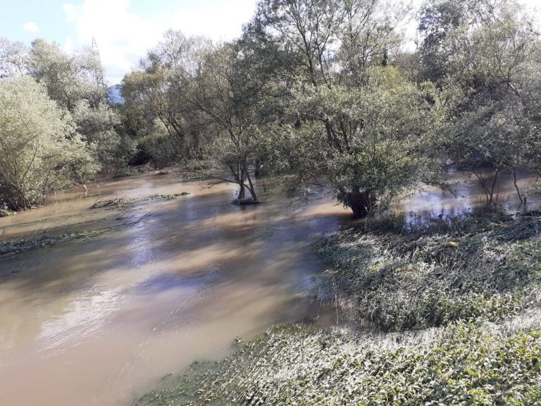 Ploile continuă: Pericol de inundație pe mai multe râuri din Banat