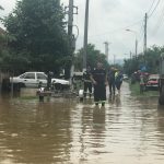 e43444f2-03f9-4951-9ce8-e20c56aaf7a6