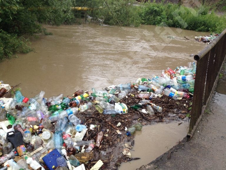 Cincizeci de saci cu gunoaie aduse de viitură „pescuiți” de angajații SGA Caraș-Severin