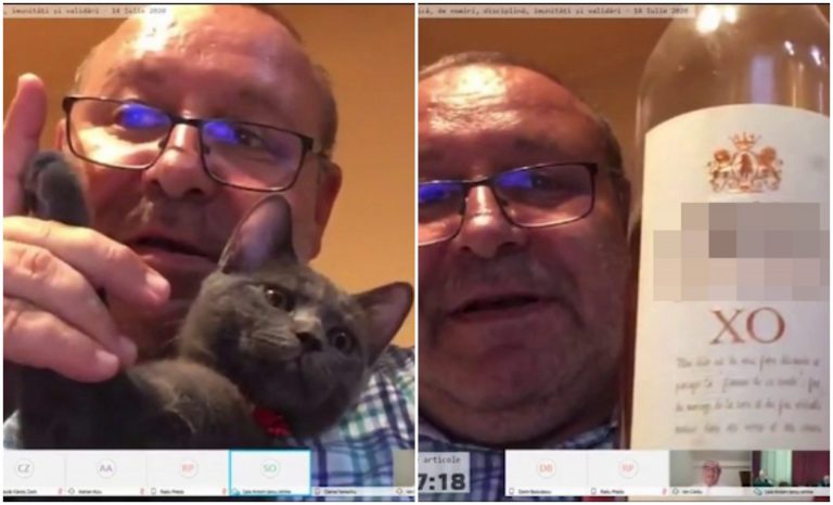 Senator PNL, filmat cu un coniac și o pisică la dezbaterile Legii carantinării