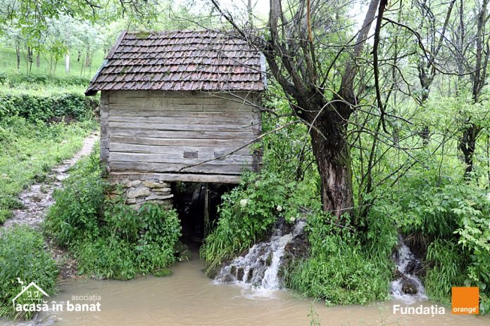 SalvamMoriledeApa (4)