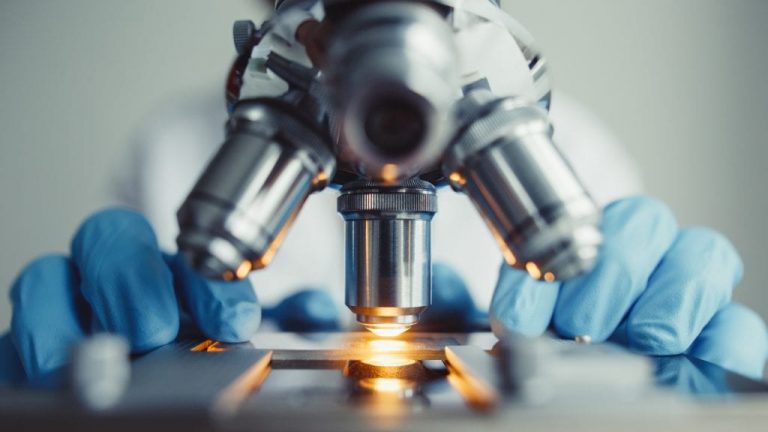 O echipă timișoreană luptă pentru marele premiu The Circular Agriculture Challenge