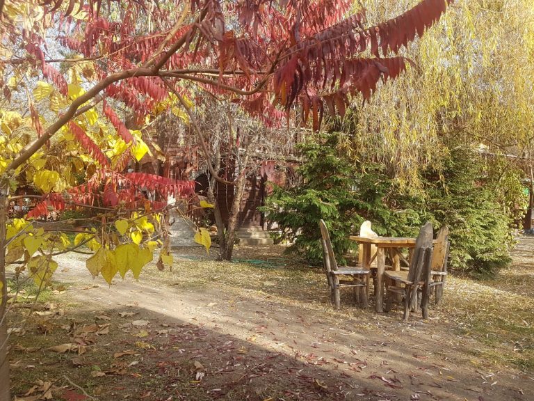 Jurnal de vacanță online la Centrul de Cultură și Artă al CJ Timiș