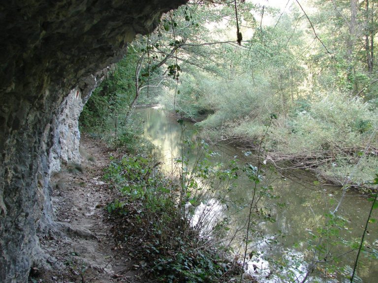 „Descoperă Dunărea”, concurs inedit online. Responsabilitatea față de mediu se învață zi de zi, indiferent de vârstă