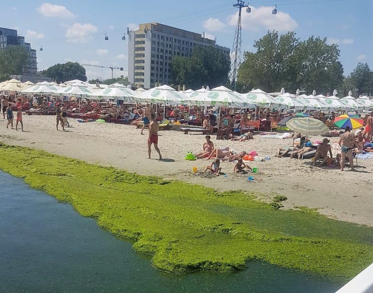 Şeful ANPC: Pandemia este o binecuvântare pentru a mări preţurile pe litoralul românesc