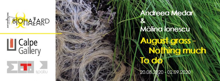 August grass/ Nothing much/ To do