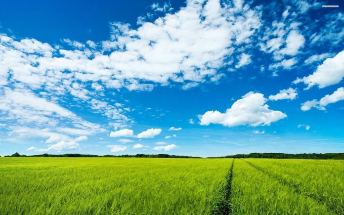 media_153318666446876800