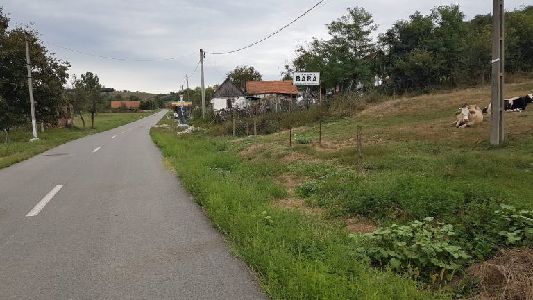 Cea mai mică localitate din Timiș, pe „lista roșie” din greșeală: „Cazurile de COVID-19 numărate la noi sunt la Lugoj”