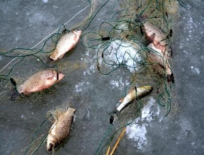 Acţiuni de prevenire și combatere a pescuitului ilegal