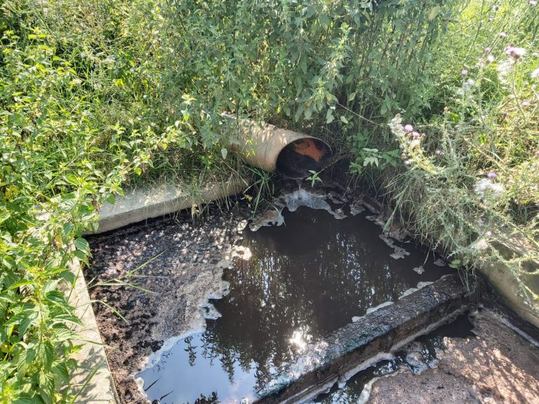 Amenzi de jumătate de milion de lei aplicate de inspectori