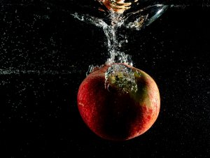 Câștigătorii concursului foto Apa vieții – viața apei