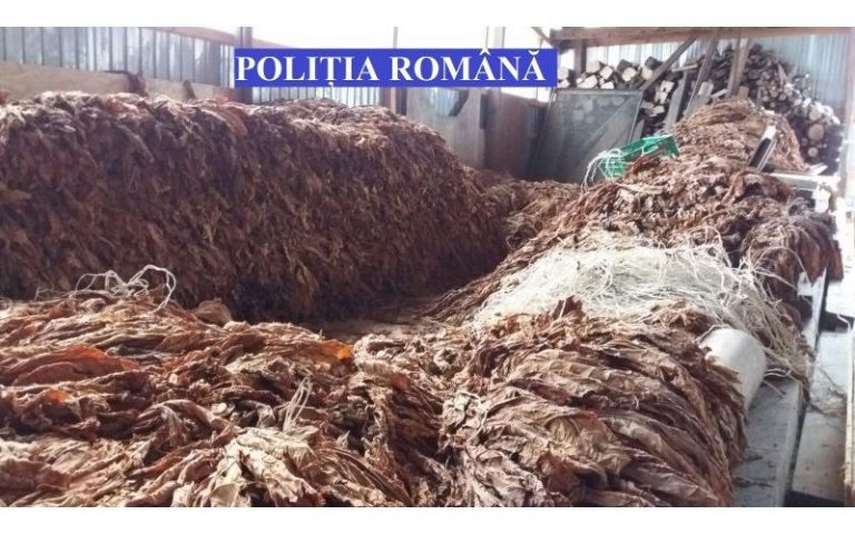 11,13 tone de tutun confiscate de inspectorii ANAF – Antifraudă