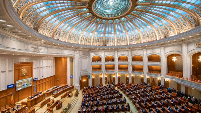 CDJ PNL Timiș a votat listele pentru Senat și Camera Deputaților