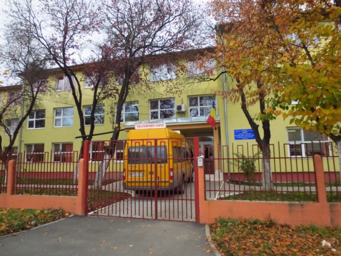 centrul_scolar_pebtru_educatie_incluziva_constantin_pufan_timisoara_large