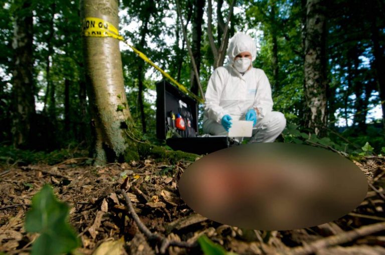 Crimă înfiorătoare: Fată ucisă și ascunsă într-o valiză