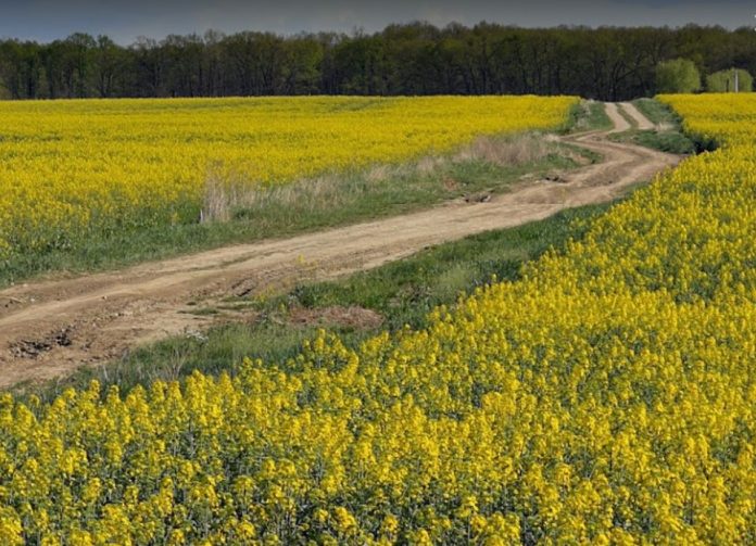 123633690_1109588756177806_3432269420767347182_n