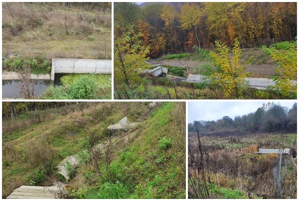 123832942_368916861021989_4092210056410560789_n