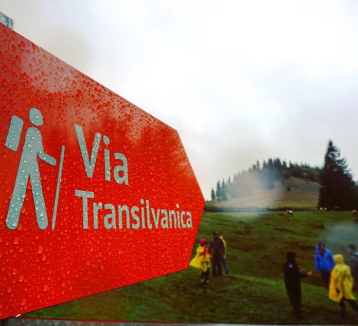 49319469_2081945925192277_2694364359240450048_n