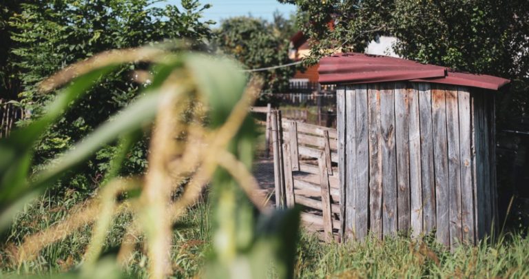 Un sfert dintre români nu au toaletă în casă