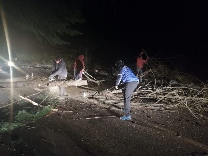 129880144_369833254314617_5113503564922565861_n