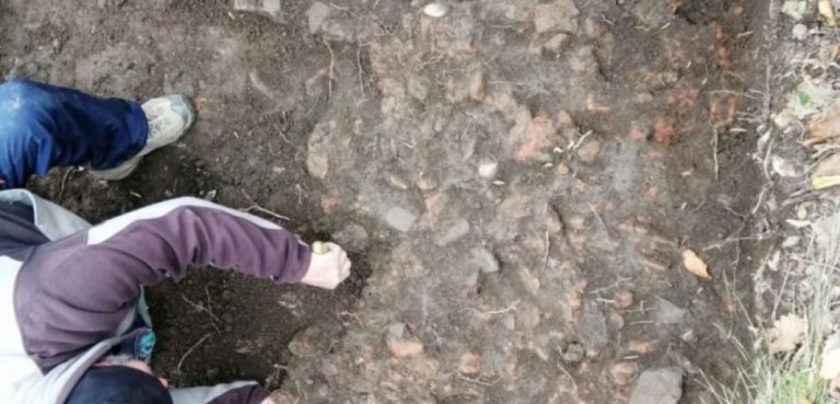 Descoperire excepțională în Timiș! Experții sunt impresionați de această realizare