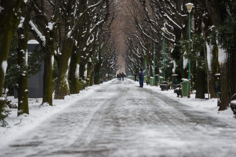 Prognoza ANM pentru 1 februarie – 1 martie. Ce ne rezervă ultima lună de iarnă