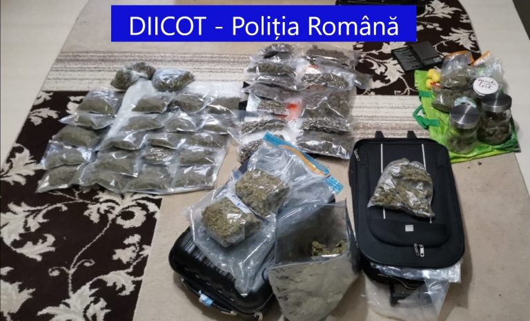 Arestați pentru trafic de droguri, prinși de DIICOT Timișoara cu 4 kilograme de marijuana