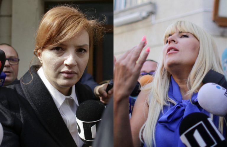 Elena Udrea și Ioana Băsescu, condamnate la închisoare cu executare, în dosarul finanțării campaniei electorale din 2009