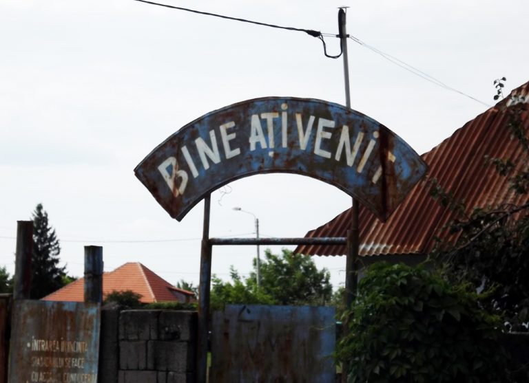 Cu „lobda” prin cartierele Timișoarei. Cum (mai) arată bazele sportive din nordul urbei