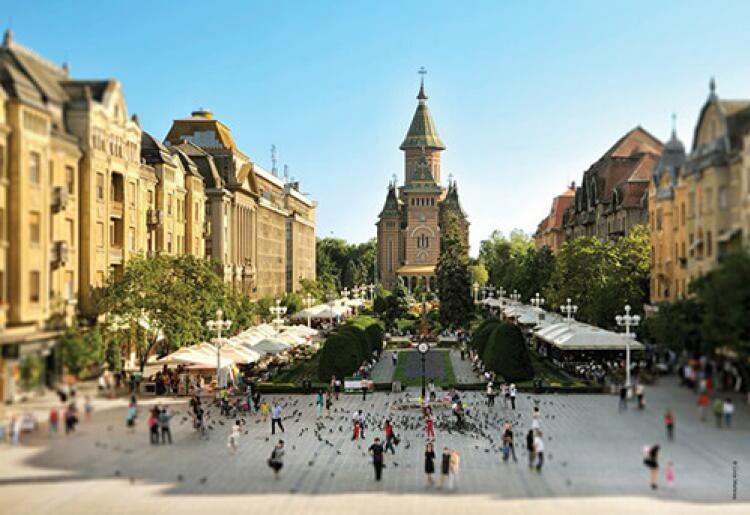 Lovitura de grație pentru Simona Neumann! Dominic Fritz suspendă orice finanțare către Asociația Timișoara-Capitală Europeană a Culturii