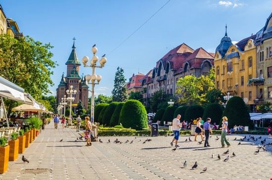 Timișoara, la cea mai mică rată de infectare din ultimele luni