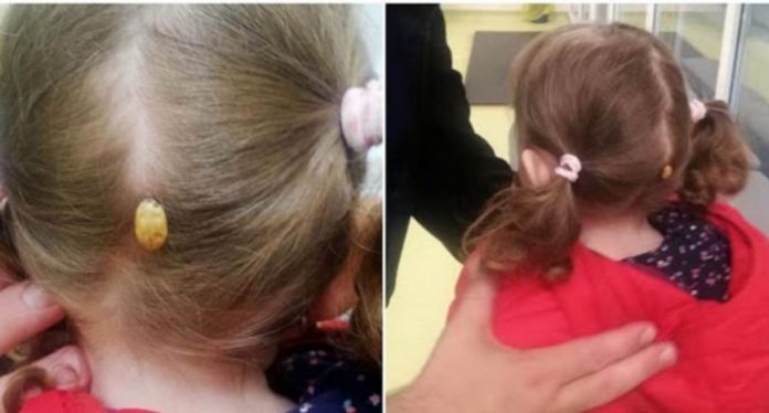 Screenshot_20210529_203813