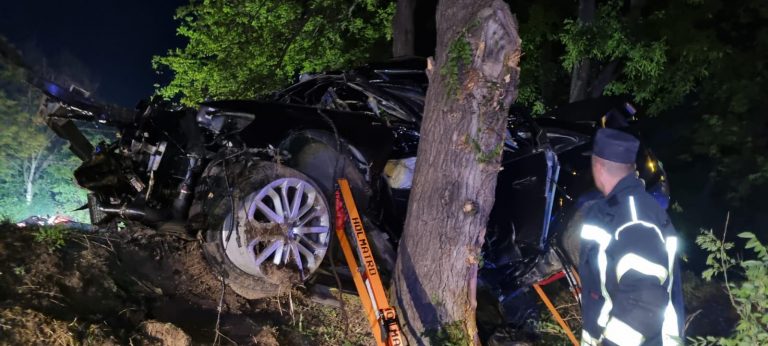 Doi tineri, ambii în vârstă de 22 de ani, au murit pe loc după ce maşina în care se aflau, un Audi A6, a intrat ieşit de pe carosabil şi s-a înfipt într-un copac