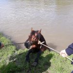 199828927_1431301750566285_3751369141333217149_n