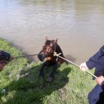 199828927_1431301750566285_3751369141333217149_n