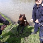 200227975_1431301693899624_5067449816159804887_n