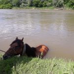 200227978_1431301813899612_8724809763928730148_n