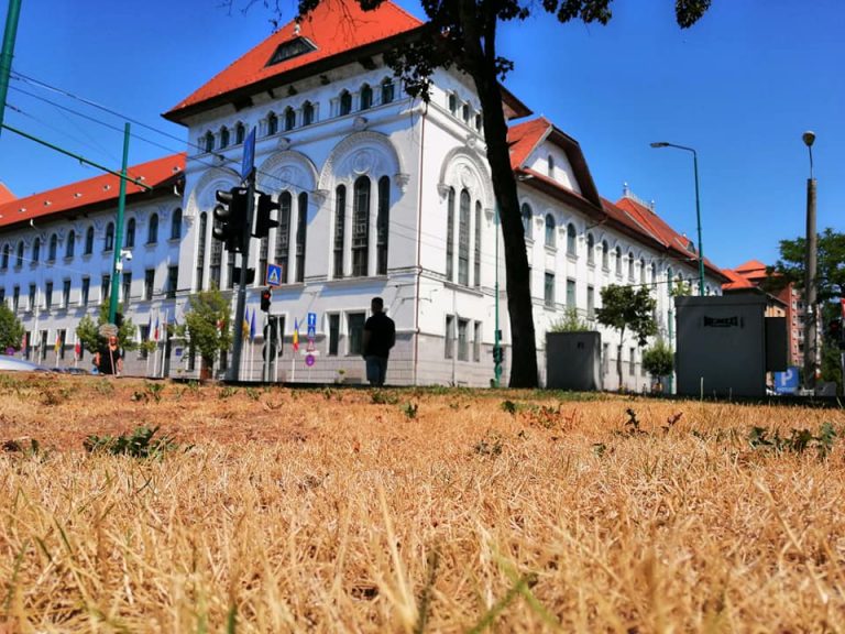 Orașul florilor a ajuns orașul nepăsării. Cum arată parcurile din Timișoara sub soarele fierbinte de iulie