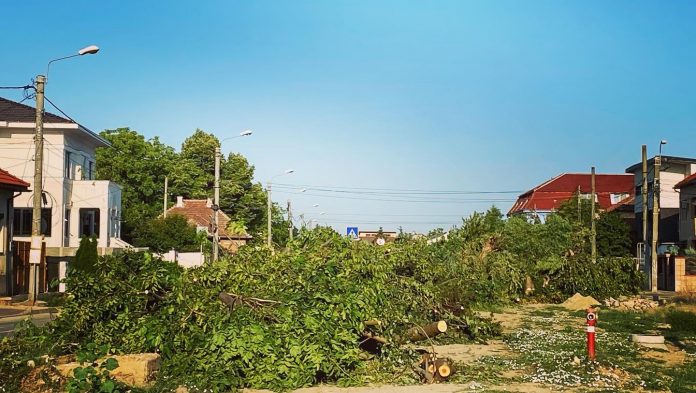 235604521_1029292387818011_5483279428749130564_n