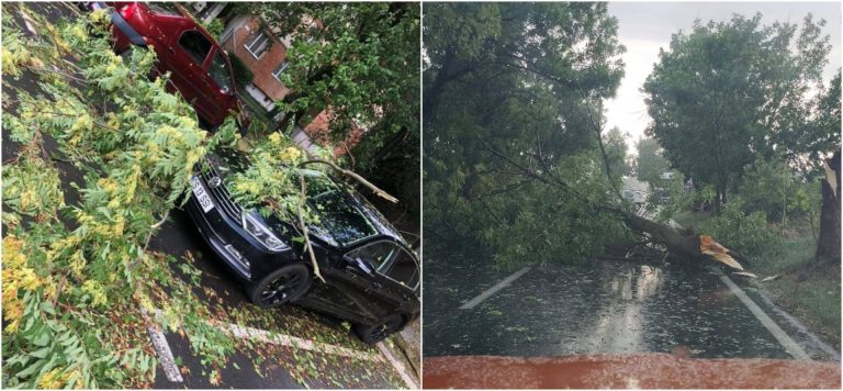 Ploaia de dimineață din Timiș: copaci căzuți și o casă lovită de trăsnet