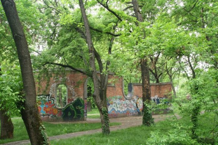 parcul_botanic_din_timisoara_15_2_large
